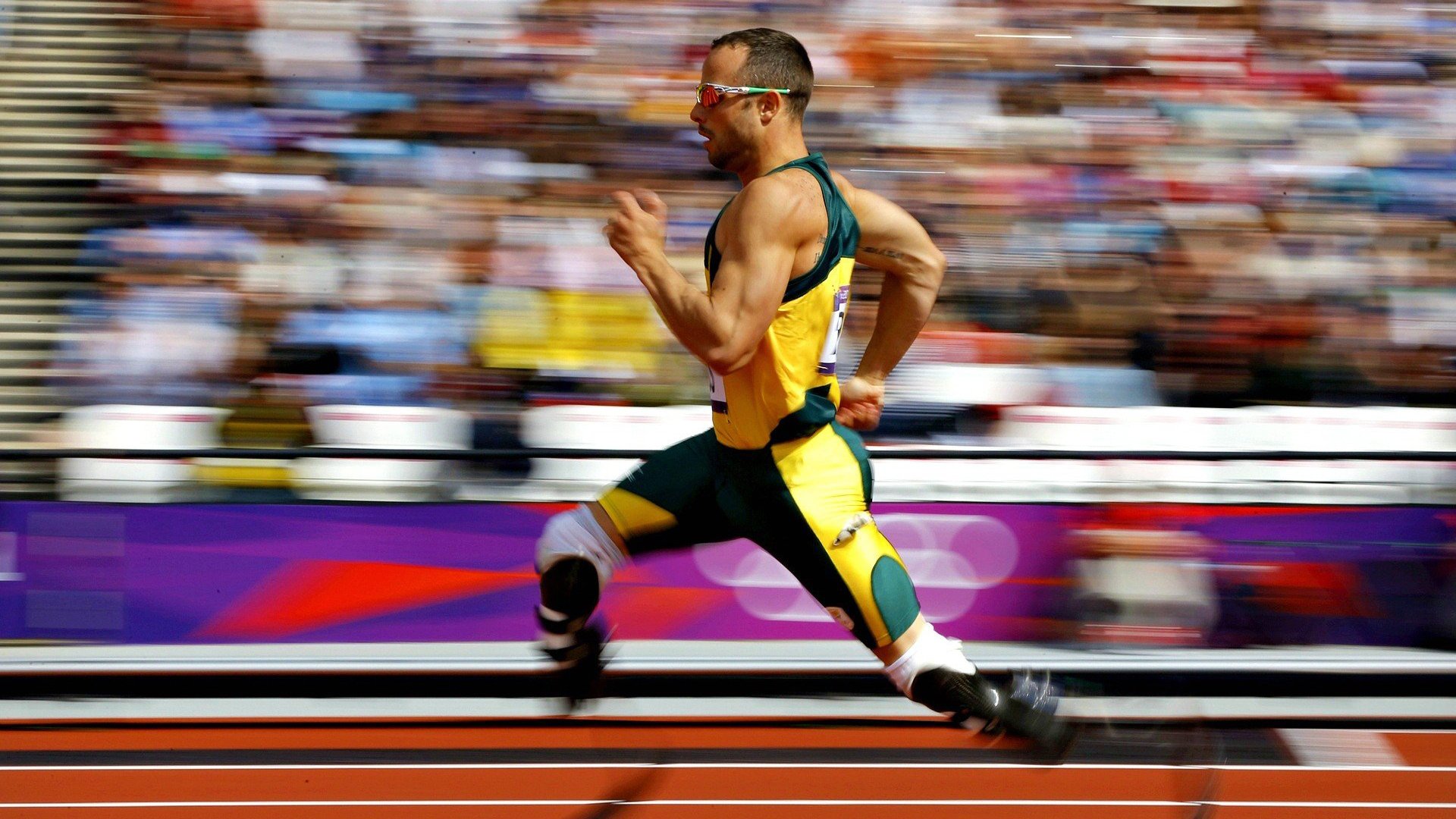 现场气氛火爆！球迷欢呼不断，场内外热情爆棚！，球赛现场的气氛